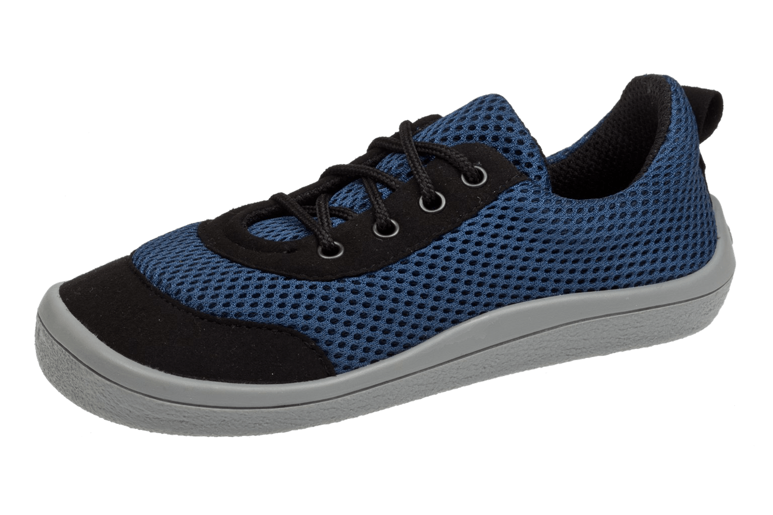 Blue moon BF003-SK Blue moon BF003-SK beda