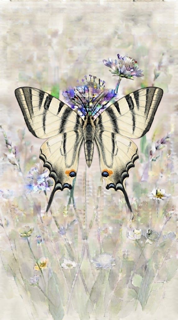 Jadralec Iphiclides podalirius